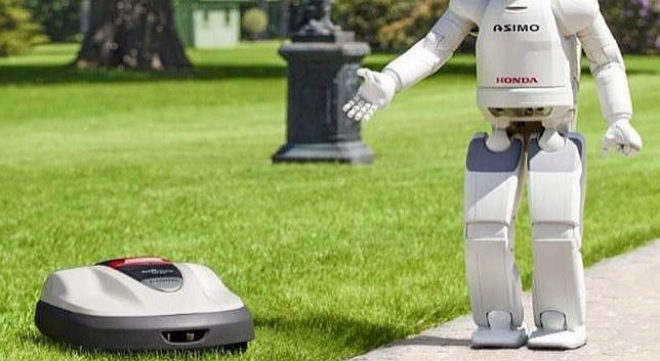 Robot cortacesped como recoge la hierba